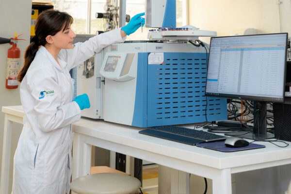 896400ad45_Lab_Quimica_Analitica_Cromatografo_de_Gases 1